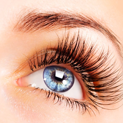 eyelashes-Tavares-FL